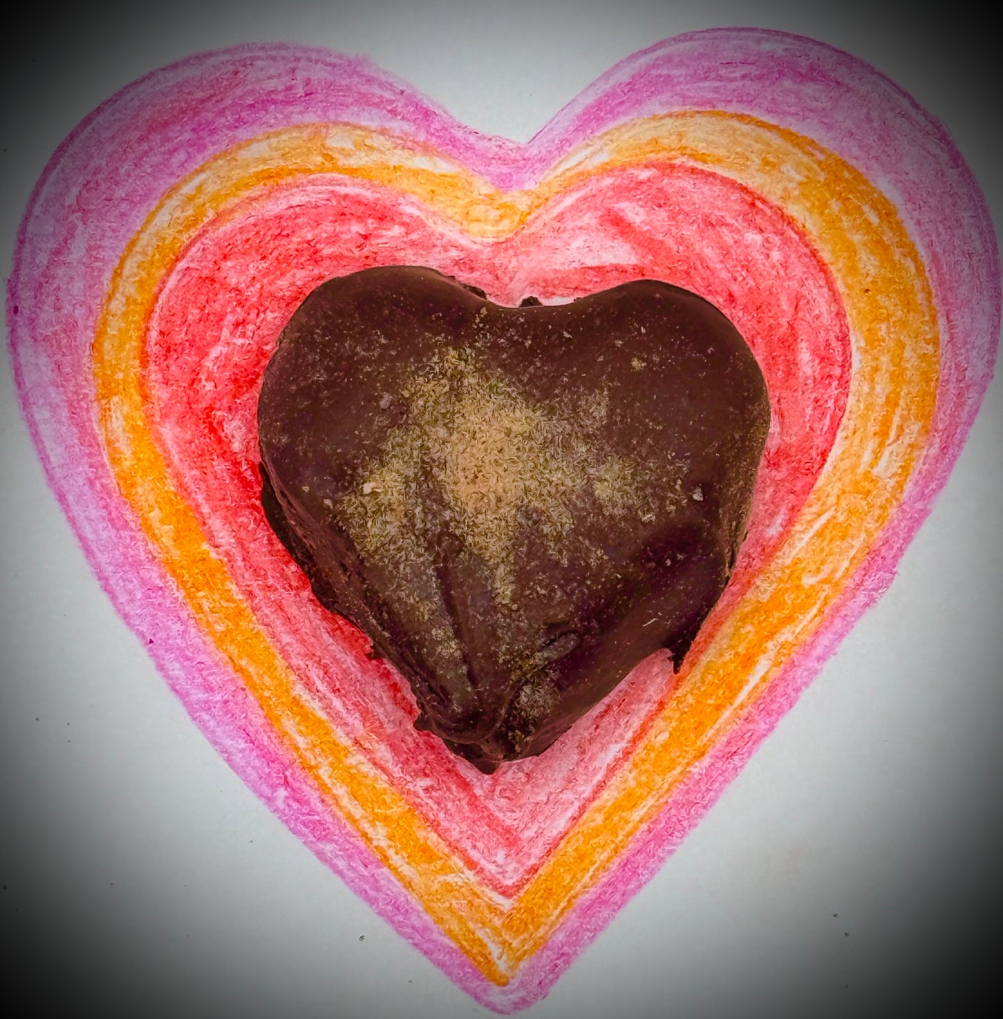 Hibiscus Dark Chocolate Truffle